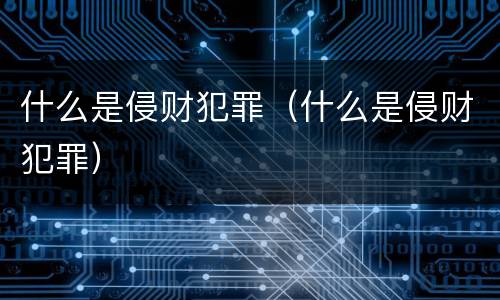 什么是侵财犯罪（什么是侵财犯罪）