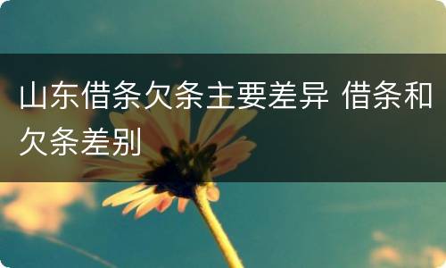 山东借条欠条主要差异 借条和欠条差别