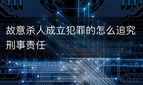 故意杀人成立犯罪的怎么追究刑事责任