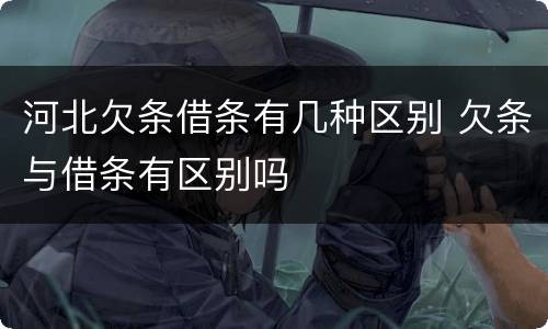河北欠条借条有几种区别 欠条与借条有区别吗