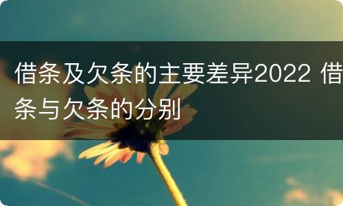 借条及欠条的主要差异2022 借条与欠条的分别