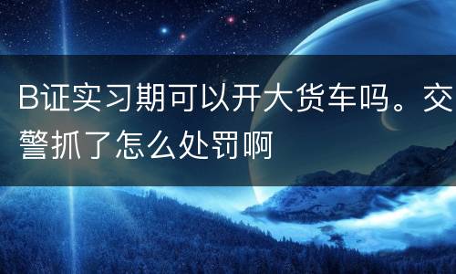 B证实习期可以开大货车吗。交警抓了怎么处罚啊