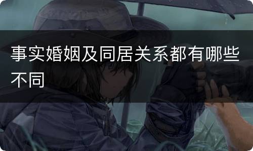 事实婚姻及同居关系都有哪些不同