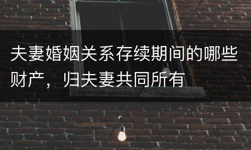 夫妻婚姻关系存续期间的哪些财产，归夫妻共同所有