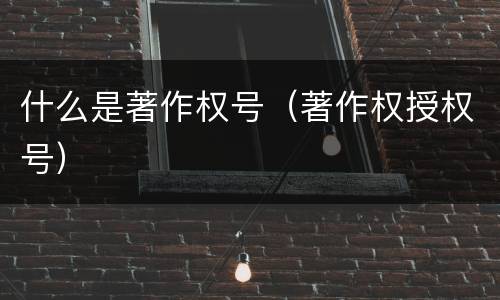 什么是著作权号（著作权授权号）