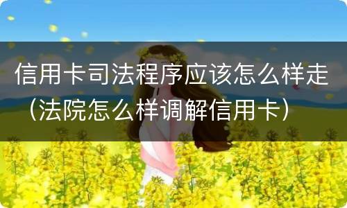 信用卡司法程序应该怎么样走（法院怎么样调解信用卡）