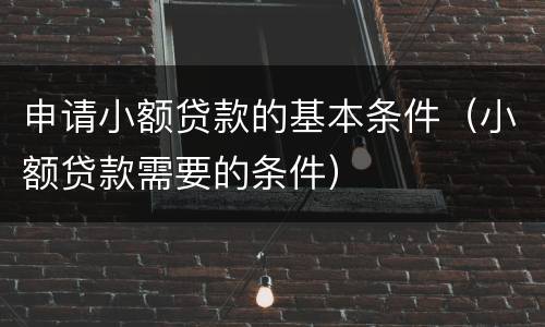 申请小额贷款的基本条件（小额贷款需要的条件）