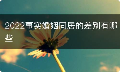 2022事实婚姻同居的差别有哪些