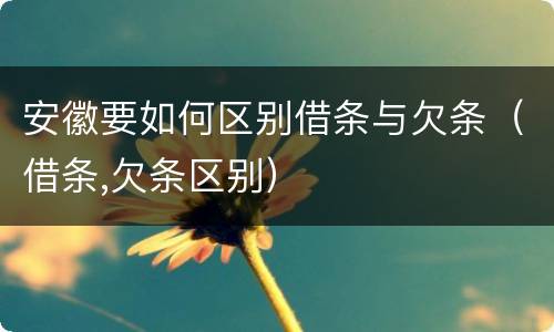 安徽要如何区别借条与欠条（借条,欠条区别）