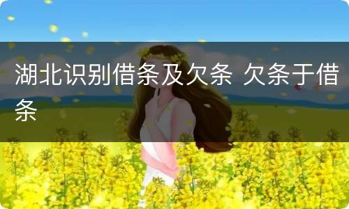 湖北识别借条及欠条 欠条于借条