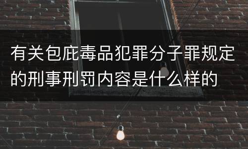 有关包庇毒品犯罪分子罪规定的刑事刑罚内容是什么样的
