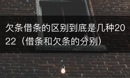 欠条借条的区别到底是几种2022（借条和欠条的分别）