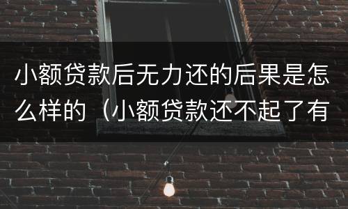 小额贷款后无力还的后果是怎么样的（小额贷款还不起了有什么后果）