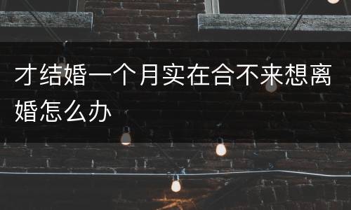 才结婚一个月实在合不来想离婚怎么办