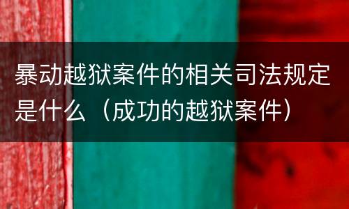 暴动越狱案件的相关司法规定是什么（成功的越狱案件）
