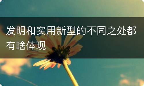 发明和实用新型的不同之处都有啥体现