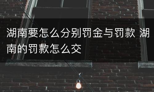 湖南要怎么分别罚金与罚款 湖南的罚款怎么交