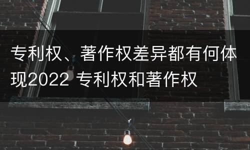 专利权、著作权差异都有何体现2022 专利权和著作权