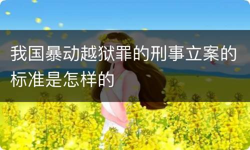 我国暴动越狱罪的刑事立案的标准是怎样的
