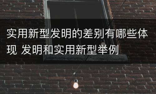 实用新型发明的差别有哪些体现 发明和实用新型举例