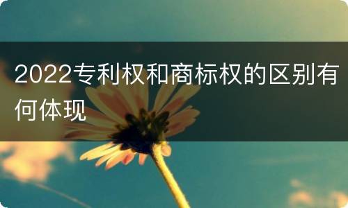 2022专利权和商标权的区别有何体现