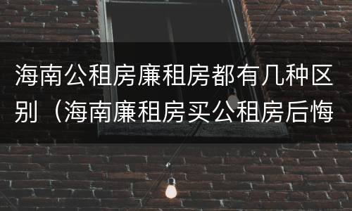 海南公租房廉租房都有几种区别（海南廉租房买公租房后悔了）