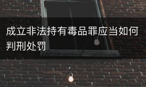 成立非法持有毒品罪应当如何判刑处罚
