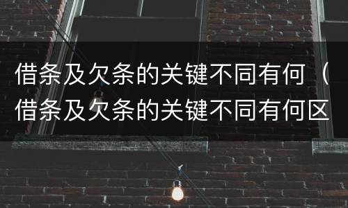 借条及欠条的关键不同有何（借条及欠条的关键不同有何区别）