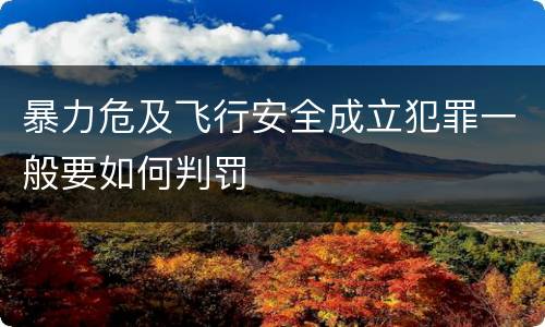 暴力危及飞行安全成立犯罪一般要如何判罚