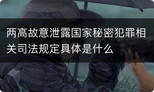 两高故意泄露国家秘密犯罪相关司法规定具体是什么