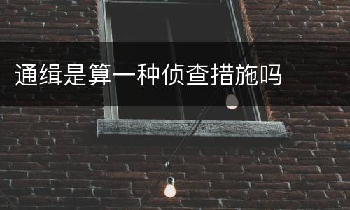 通缉是算一种侦查措施吗