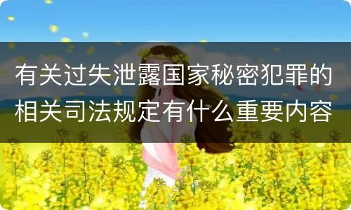 有关过失泄露国家秘密犯罪的相关司法规定有什么重要内容
