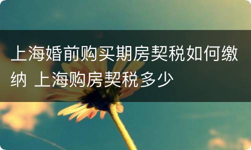 上海婚前购买期房契税如何缴纳 上海购房契税多少