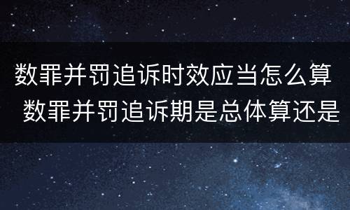 数罪并罚追诉时效应当怎么算 数罪并罚追诉期是总体算还是分开算