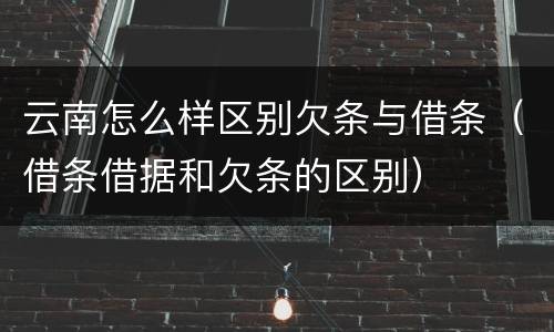 云南怎么样区别欠条与借条（借条借据和欠条的区别）
