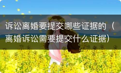 诉讼离婚要提交哪些证据的（离婚诉讼需要提交什么证据）