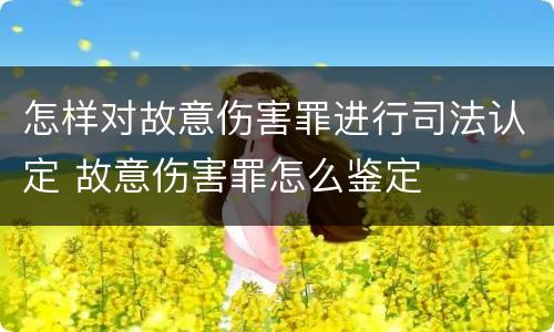 怎样对故意伤害罪进行司法认定 故意伤害罪怎么鉴定