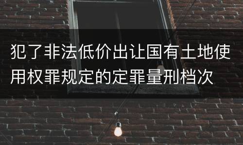 犯了非法低价出让国有土地使用权罪规定的定罪量刑档次