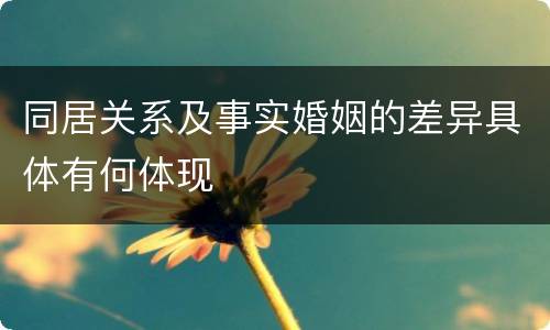 同居关系及事实婚姻的差异具体有何体现