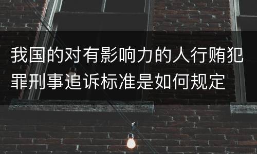 我国的对有影响力的人行贿犯罪刑事追诉标准是如何规定