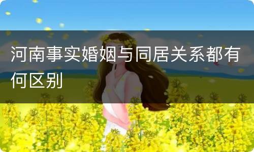 河南事实婚姻与同居关系都有何区别