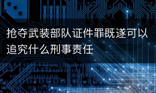 抢夺武装部队证件罪既遂可以追究什么刑事责任