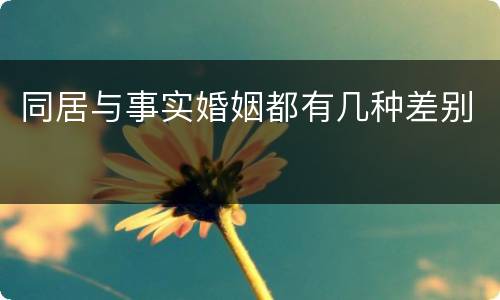 同居与事实婚姻都有几种差别