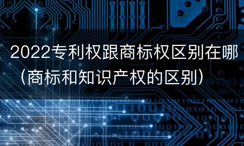 2022专利权跟商标权区别在哪（商标和知识产权的区别）