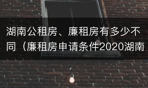 湖南公租房、廉租房有多少不同（廉租房申请条件2020湖南）