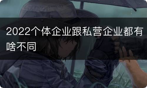 2022个体企业跟私营企业都有啥不同