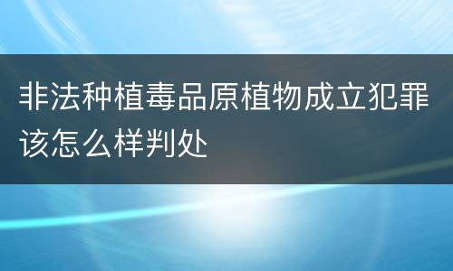 非法种植毒品原植物成立犯罪该怎么样判处