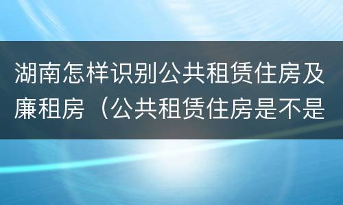 湖南怎样识别公共租赁住房及廉租房（公共租赁住房是不是廉租房）
