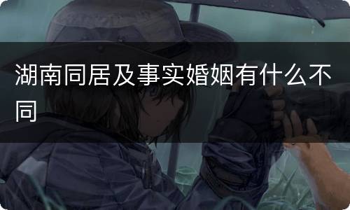 湖南同居及事实婚姻有什么不同