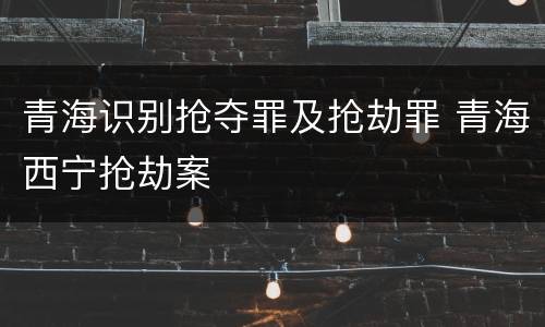 青海识别抢夺罪及抢劫罪 青海西宁抢劫案